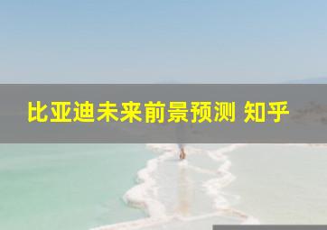 比亚迪未来前景预测 知乎